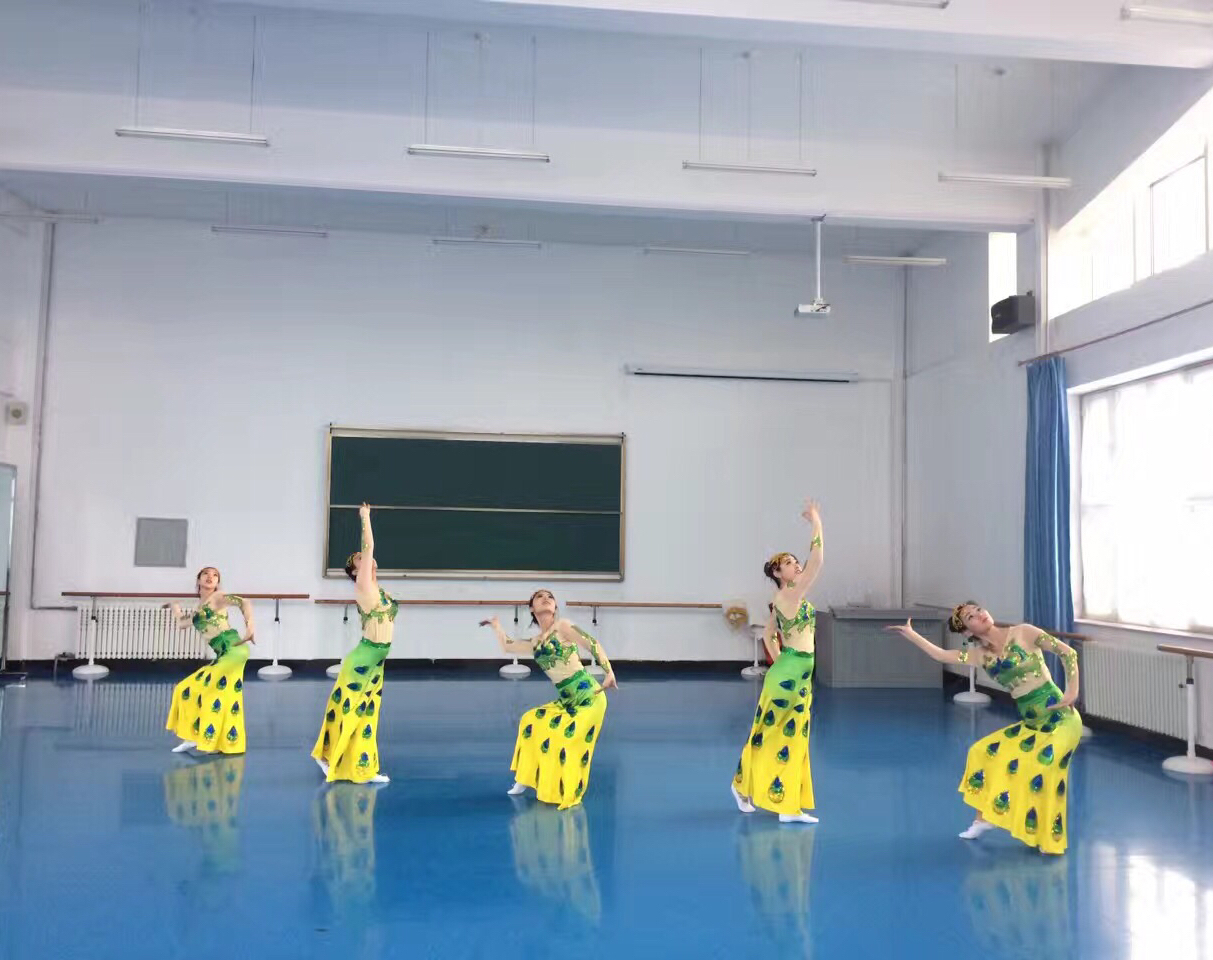 师范学院学前教育专业实训室一览表